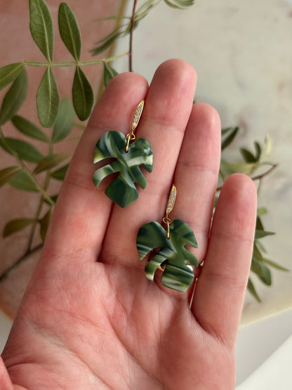 Variegated monstera leaf dangles